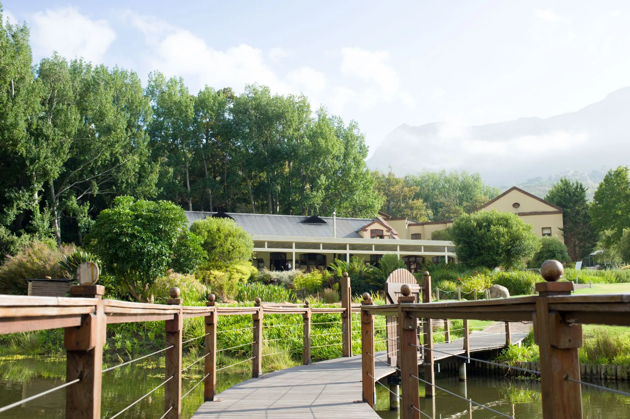 A wooden boardwalk over a dam toward a low estate building among tall trees, a cloud-covered mountain behind, at Stark-Condé