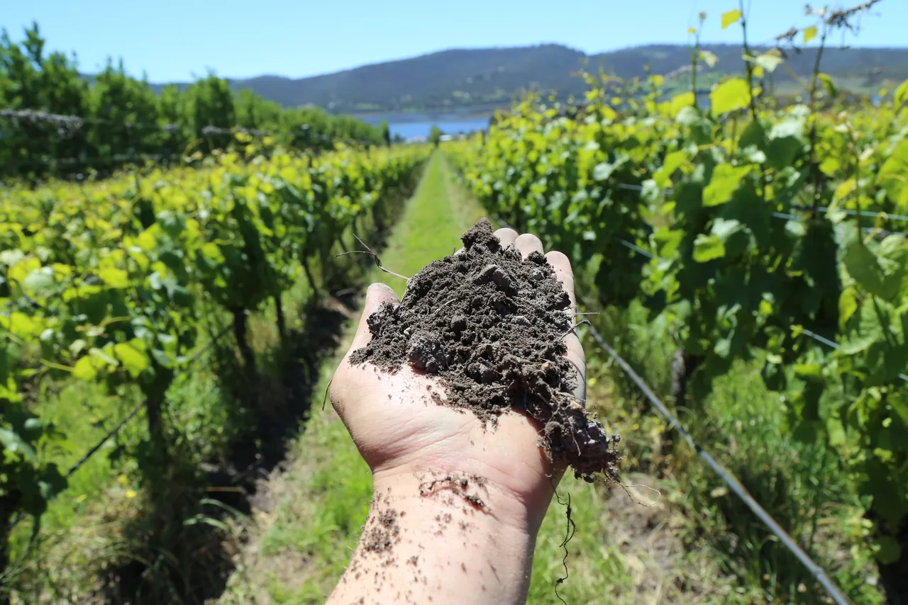 Stefano Lubiana Wines