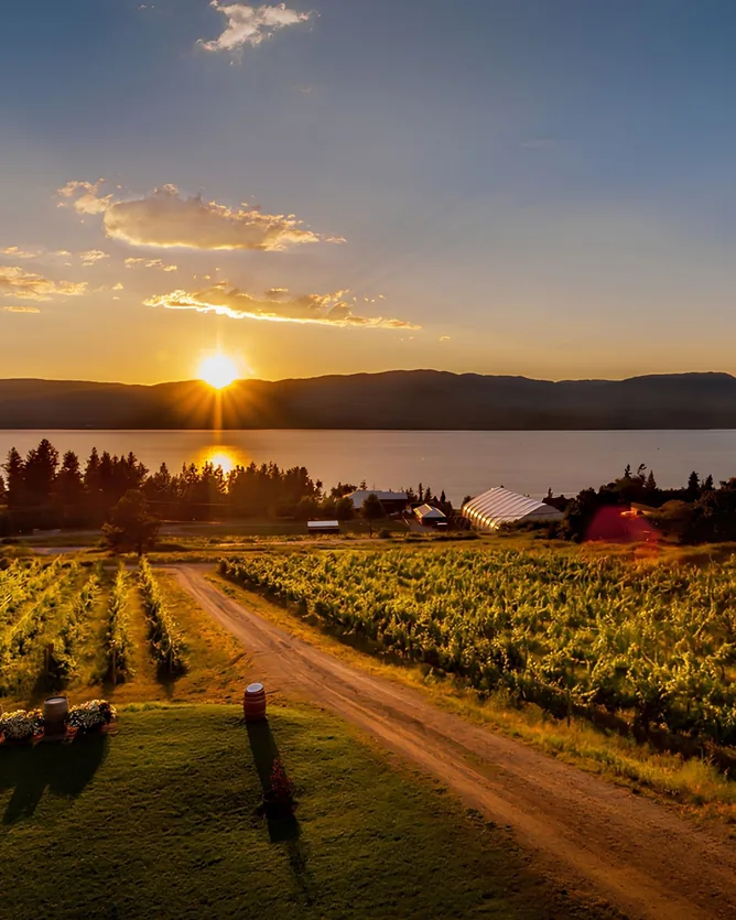 Summerhill Pyramid Winery &mdash; verified Wine producer