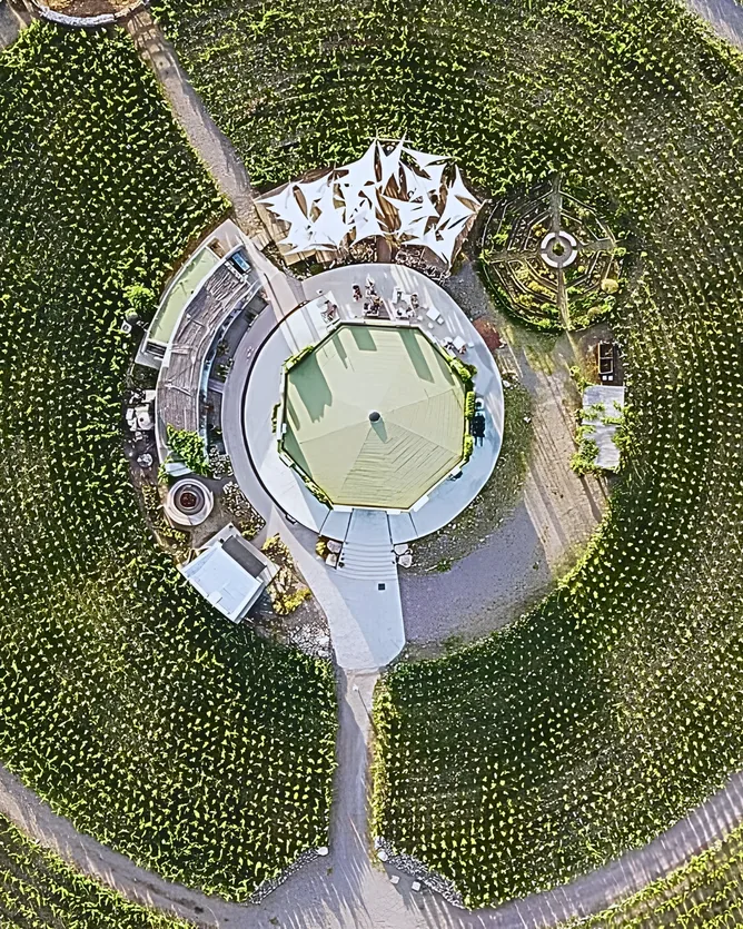 SuperUco &mdash; verified Wine producer