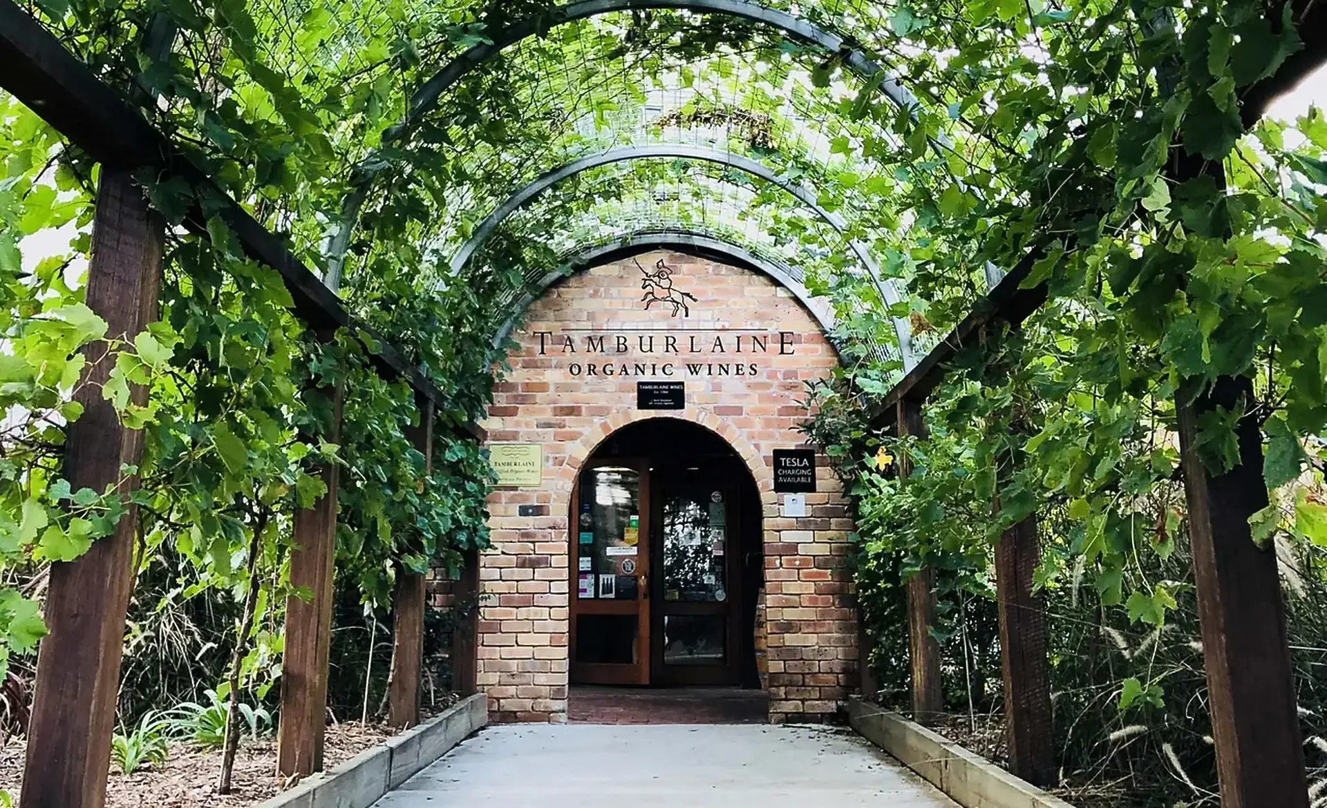 A brick arched doorway with a Tamburlaine sign at the end of a walkway under a vine-covered pergola