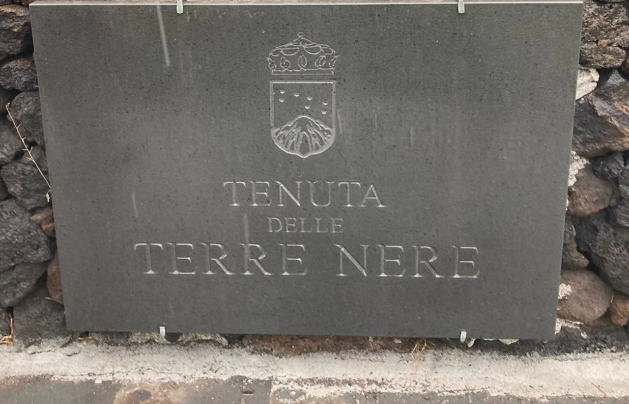 Tenuta delle Terre Nere