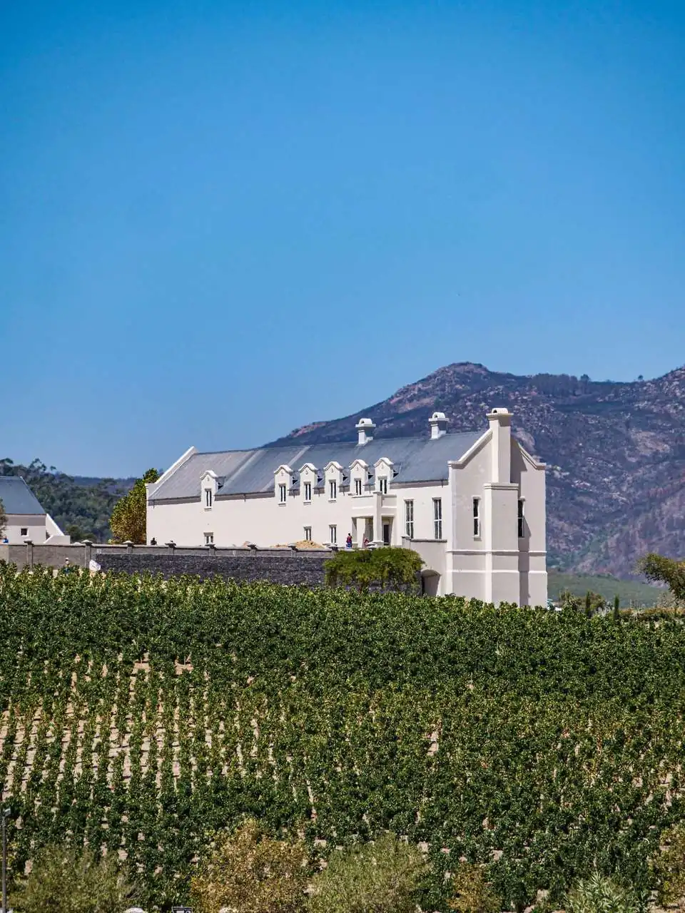 The Sadie Family Wines