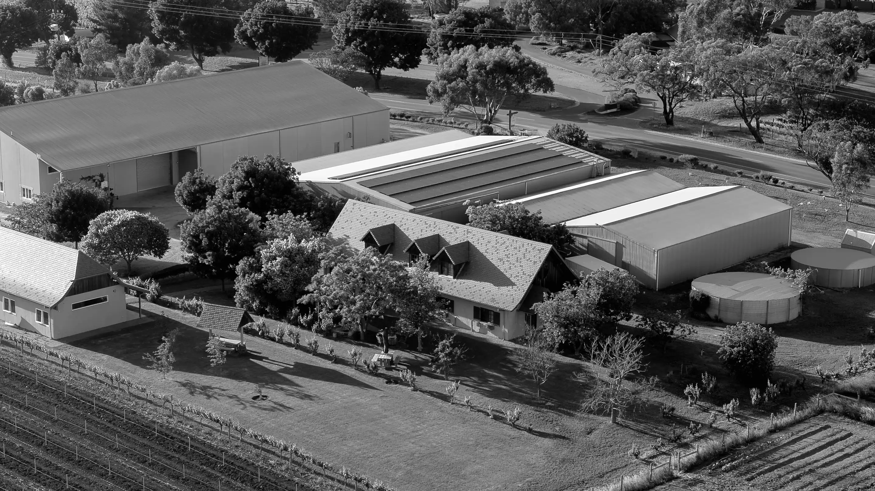 Black-and-white aerial view of long metal-roofed sheds, a gabled house, trees and vine rows at the edge, at Tscharke