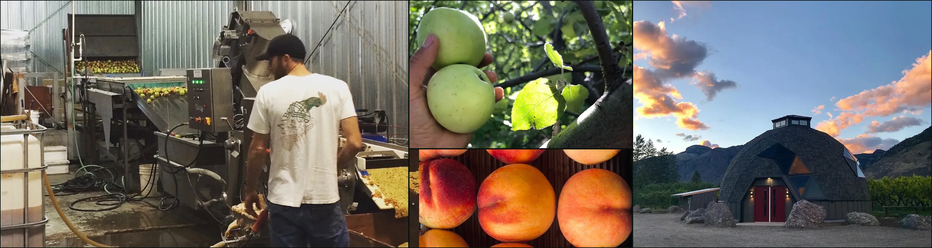 Four photographs: a man at an apple-milling line in a metal shed, green apples on a tree, peaches in a crate, the Twisted Hills dome at dusk