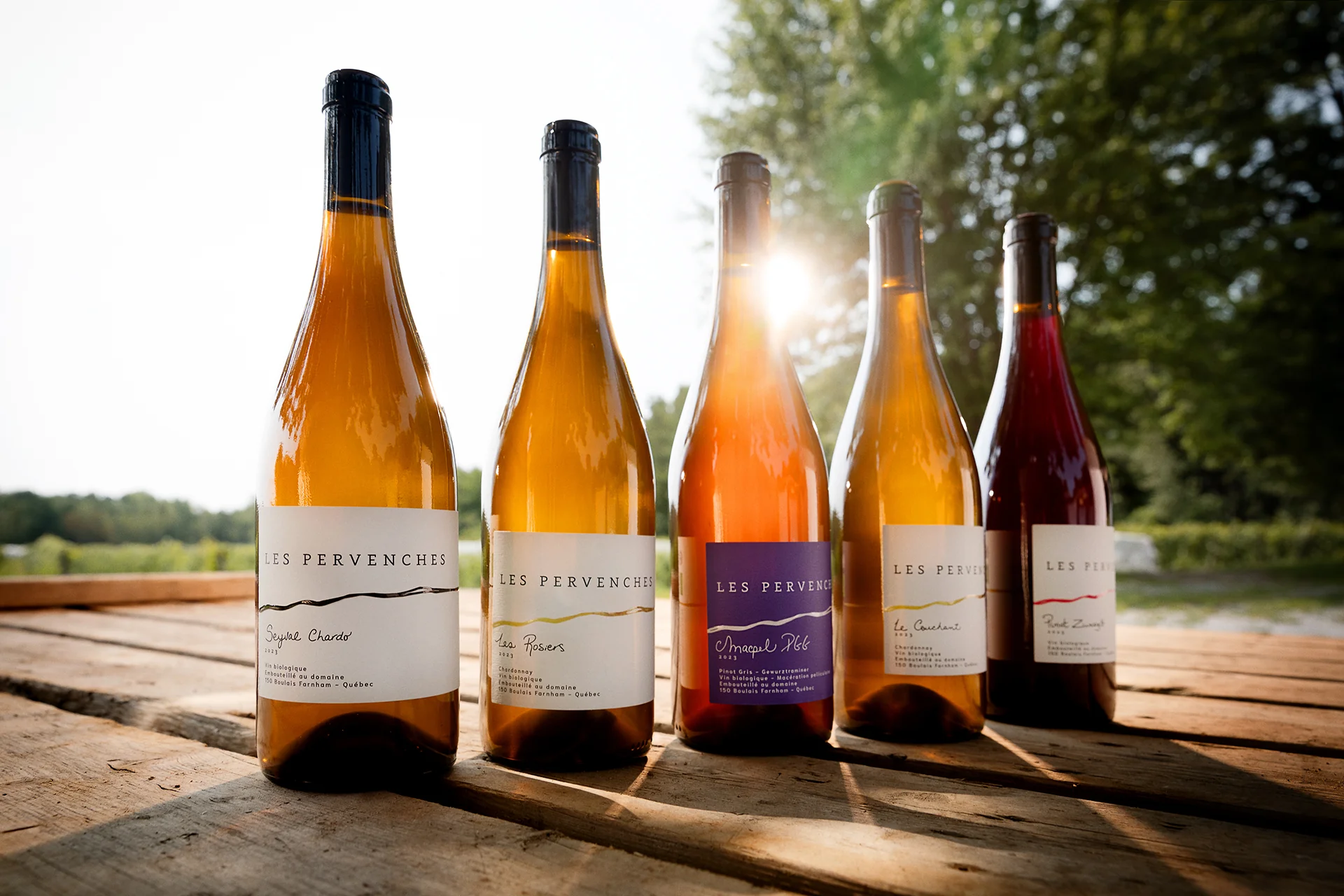 Five Les Pervenches bottles in a row on a weathered wooden table, backlit by low sun with trees behind, the wines amber, orange and red