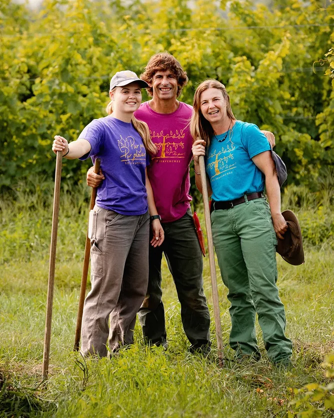Vignoble Les Pervenches &mdash; verified Wine producer