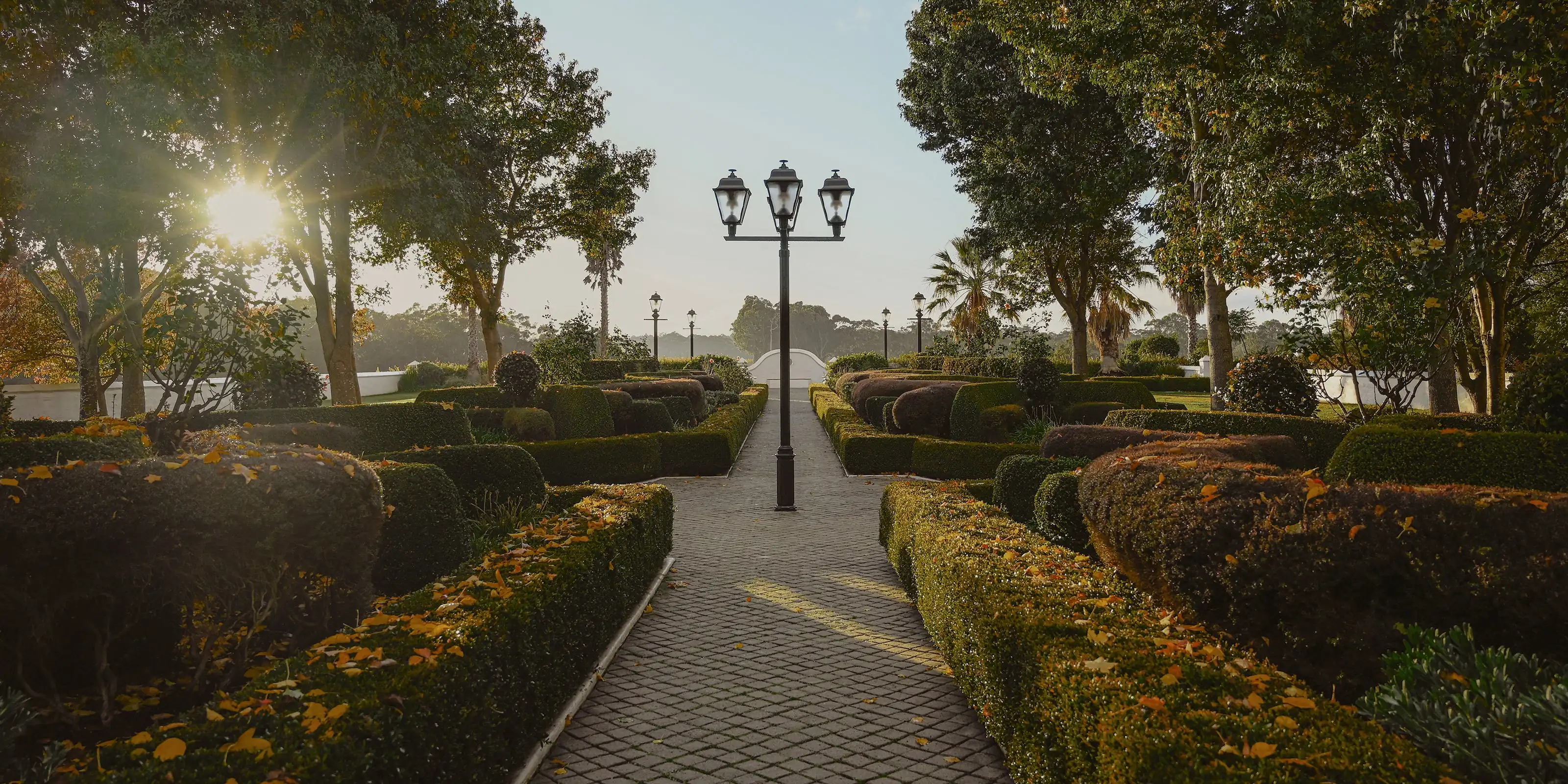 A paved path between clipped hedges scattered with fallen leaves leads to a tall triple lamp post, with low sun through trees, at Voyager Estate