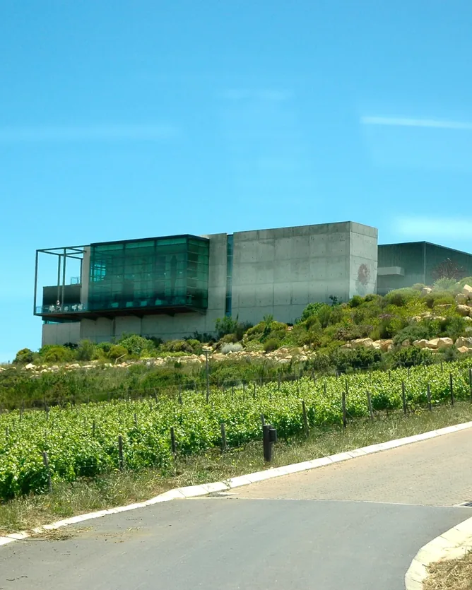 Waterkloof Wines