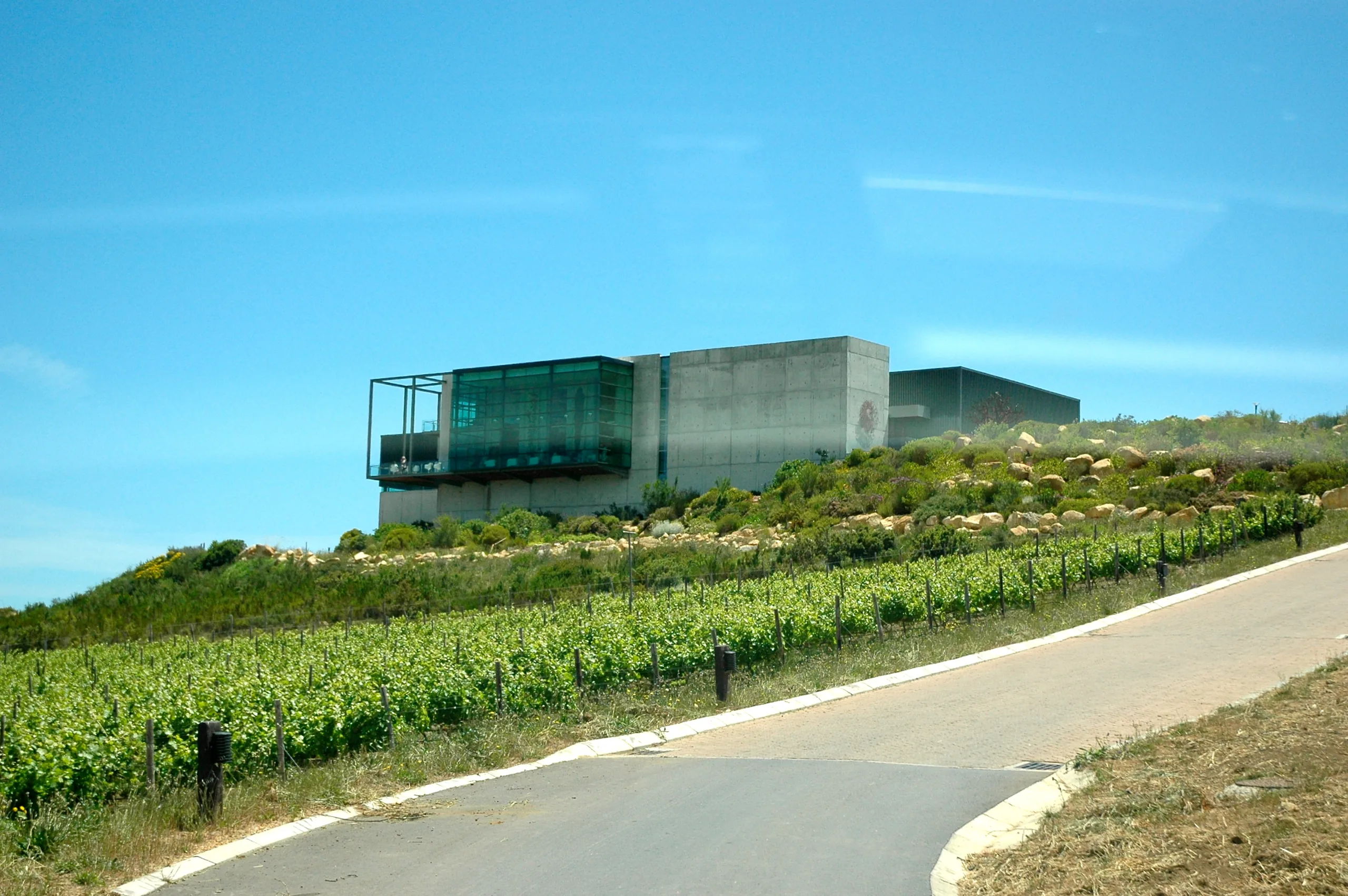 Waterkloof Wines