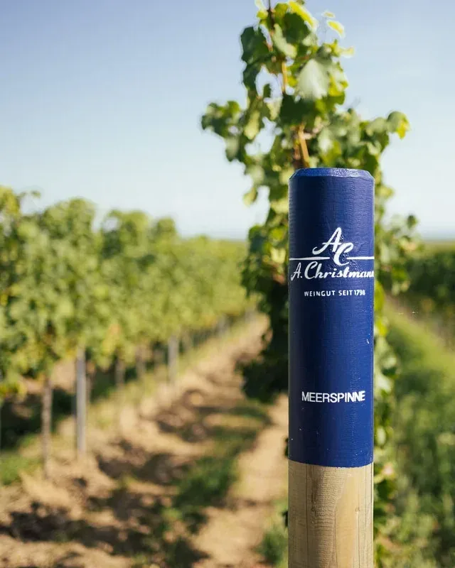 Weingut A. Christmann &mdash; verified Wine producer