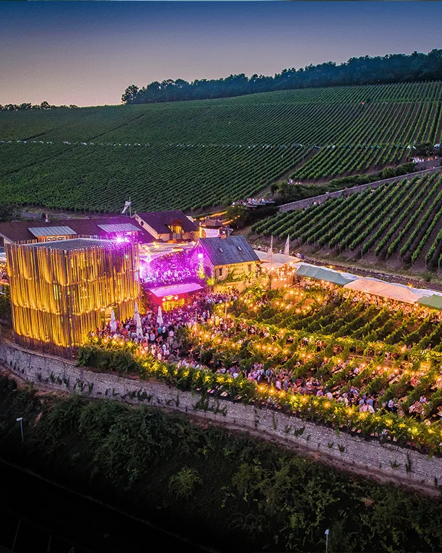 Weingut am Stein &mdash; verified Wine producer
