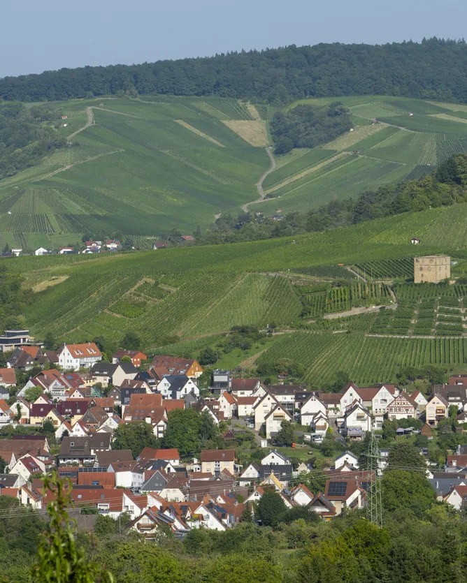 Weingut Beurer &mdash; verified Wine producer