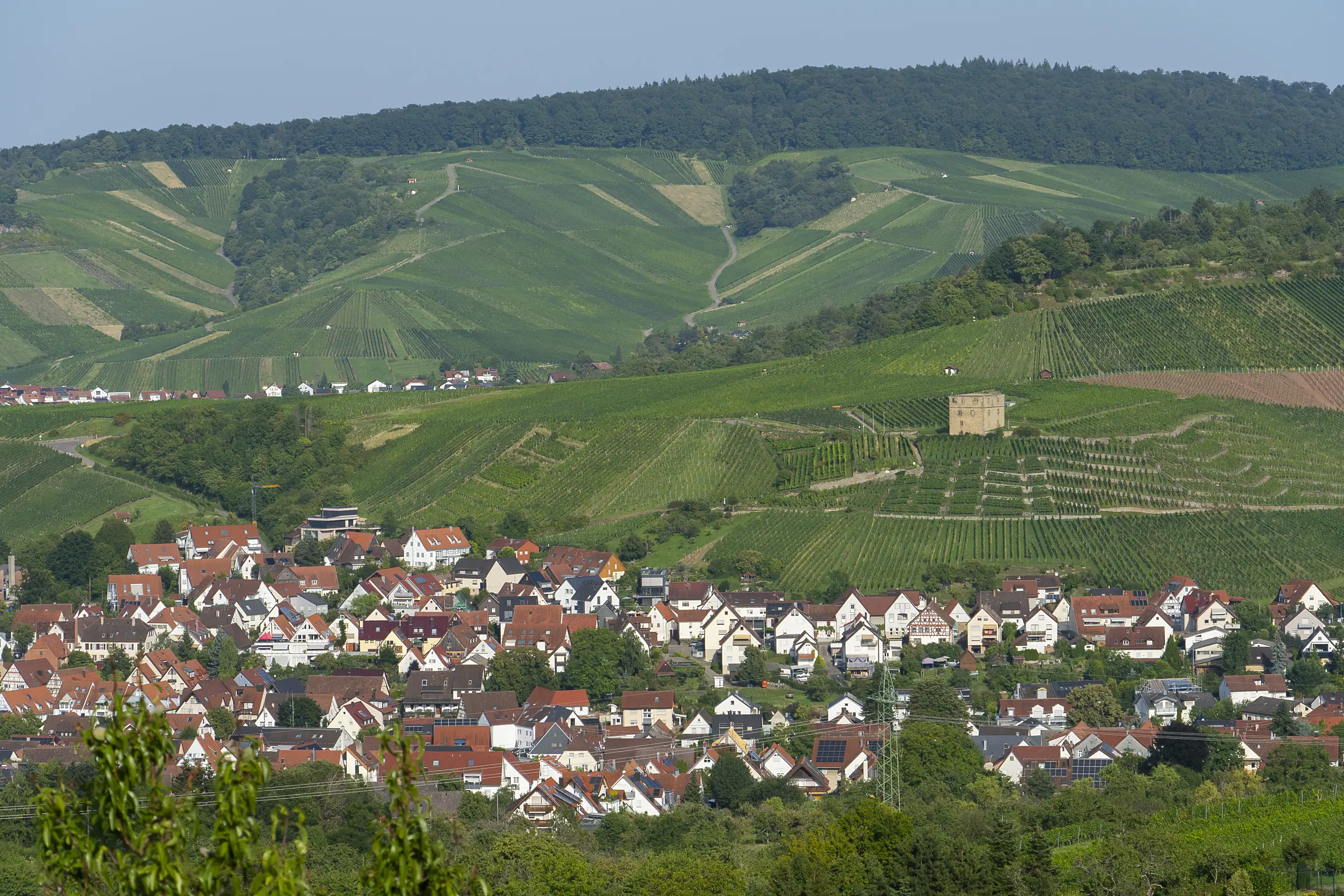 Houses of Stetten below terraced vineyard slopes, with the Yburg tower among the vines, in the Remstal