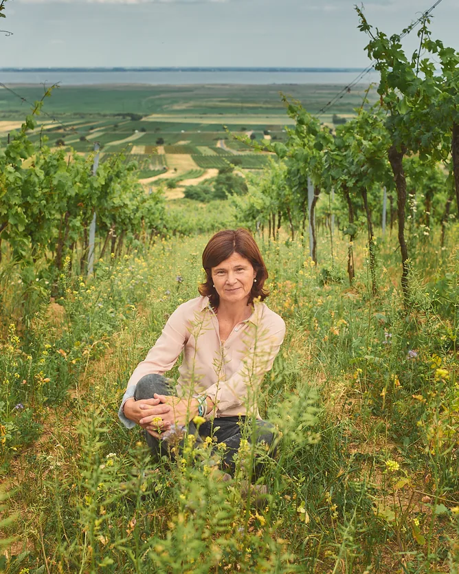 Weingut Birgit Braunstein &mdash; verified Wine producer