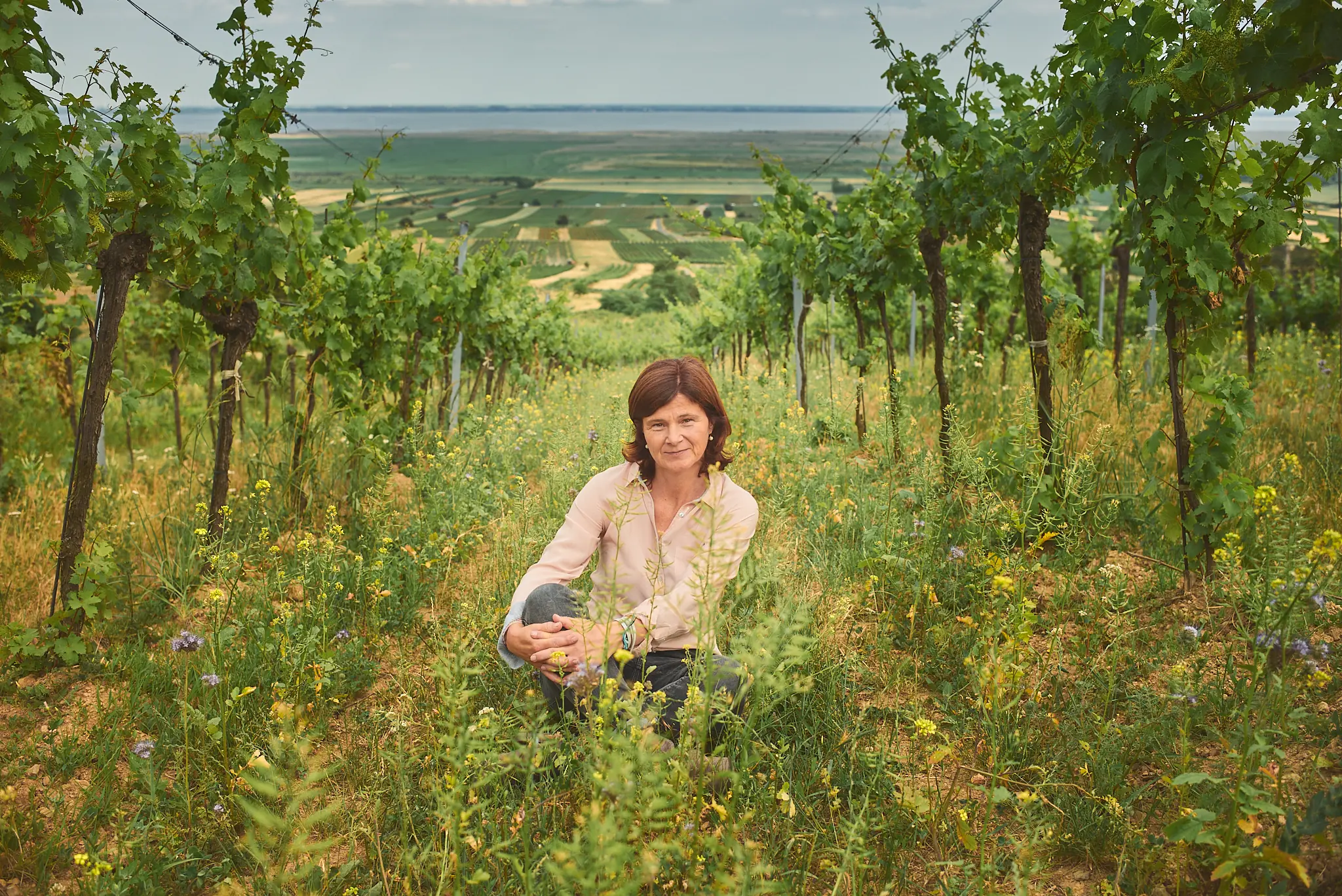 A woman crouching between vine rows and wildflowers in a vineyard above the Neusiedlersee at Purbach
