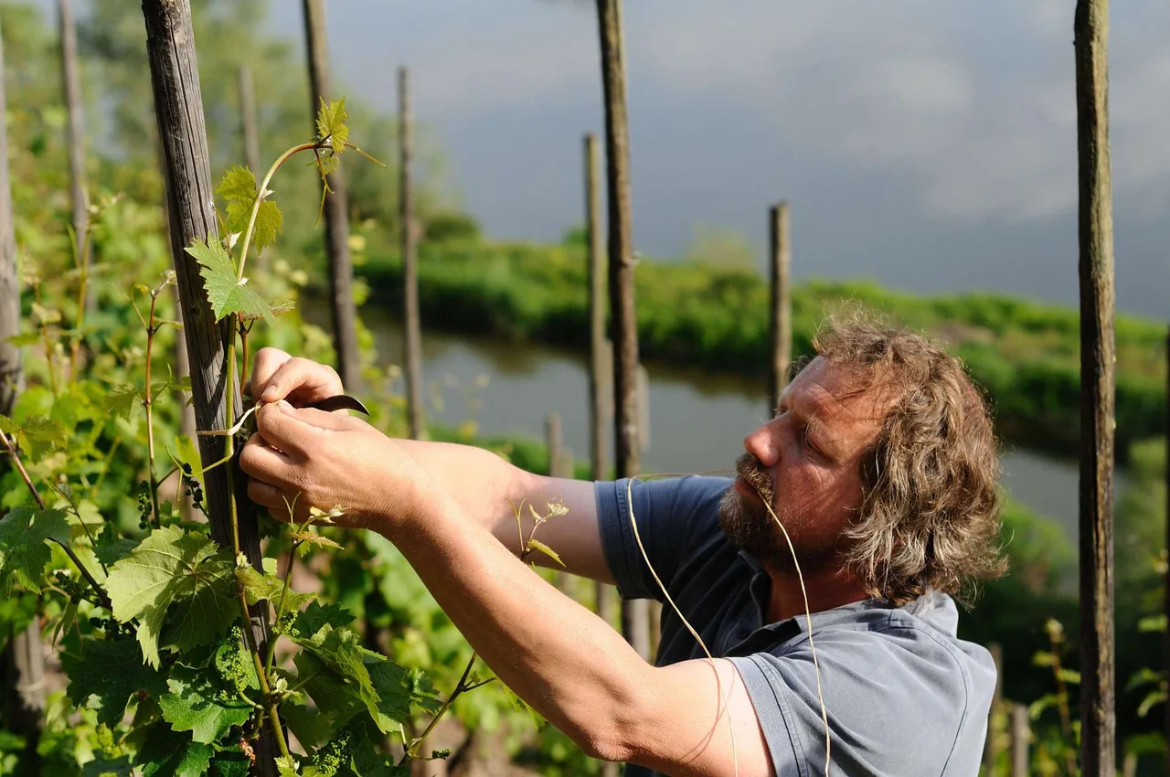 Weingut Clemens Busch