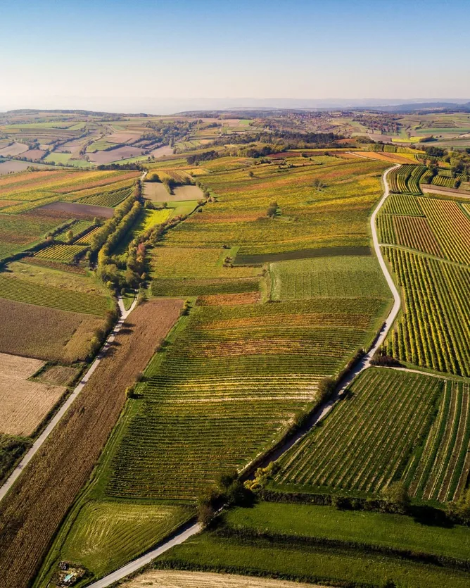 Weingut Diwald &mdash; verified Wine producer