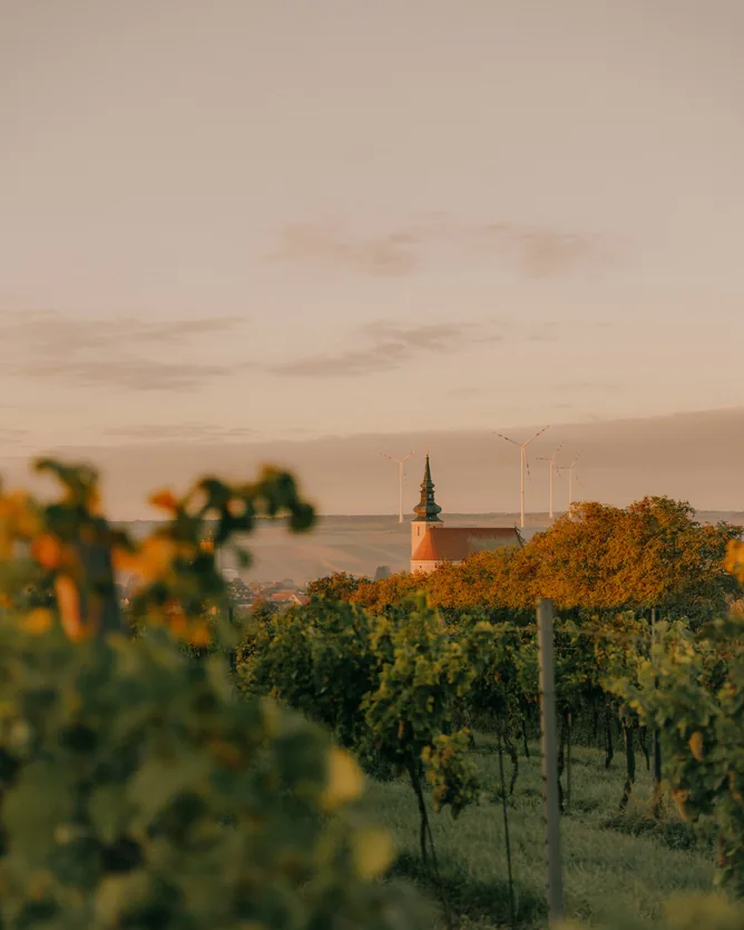 Weingut Ebner-Ebenauer &mdash; verified Wine producer