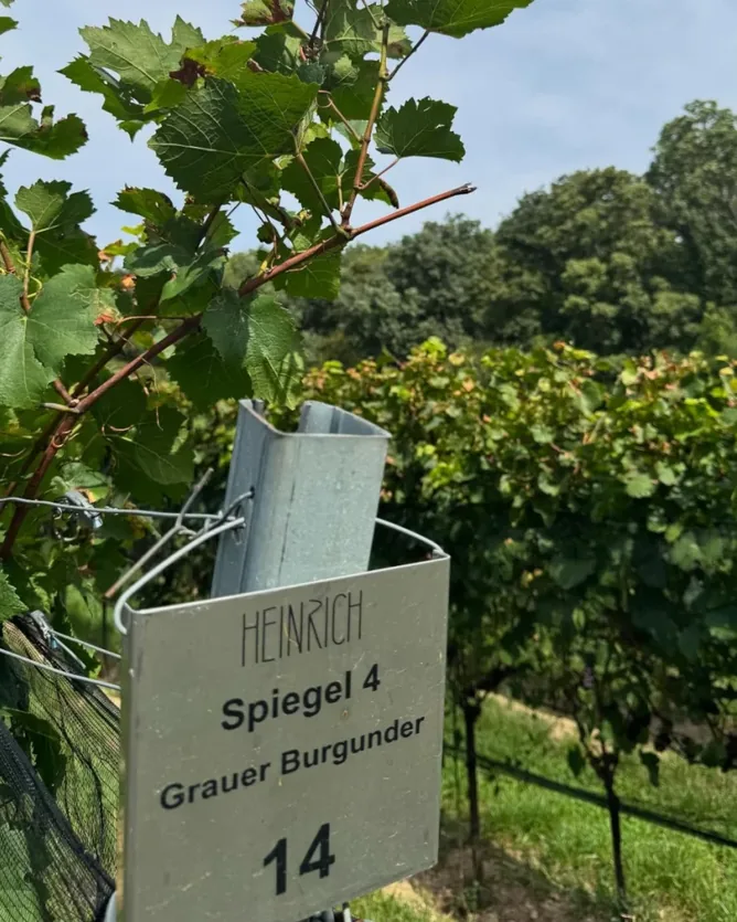 Weingut Gernot & Heike Heinrich &mdash; verified Wine producer