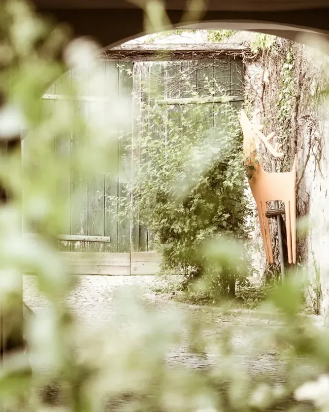Weingut Hirsch &mdash; verified Wine producer