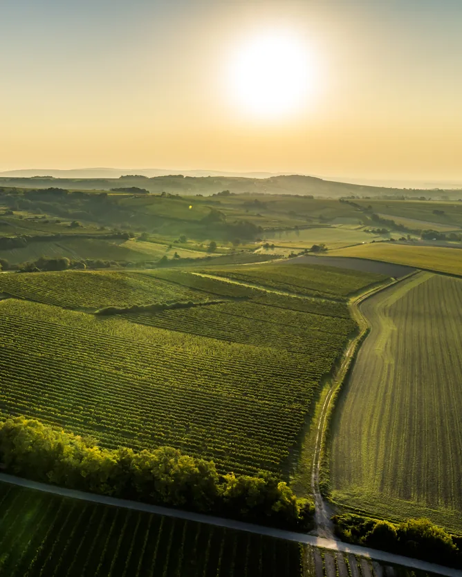 Weingut Karl Fritsch &mdash; verified Wine producer