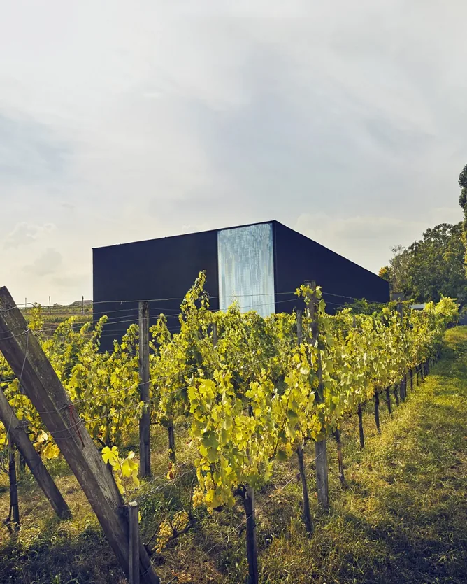 Weingut Loimer