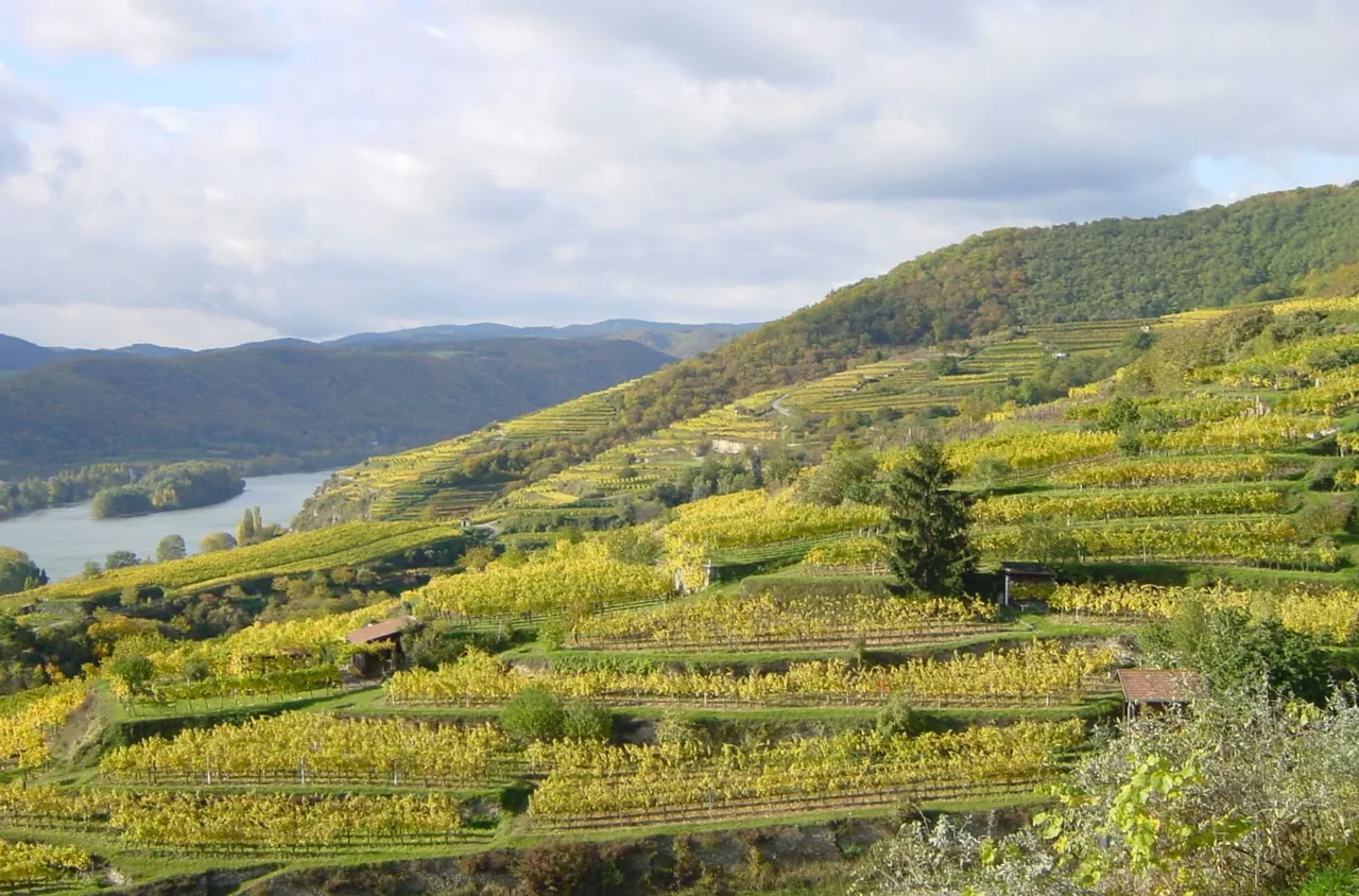 Weingut Nikolaihof