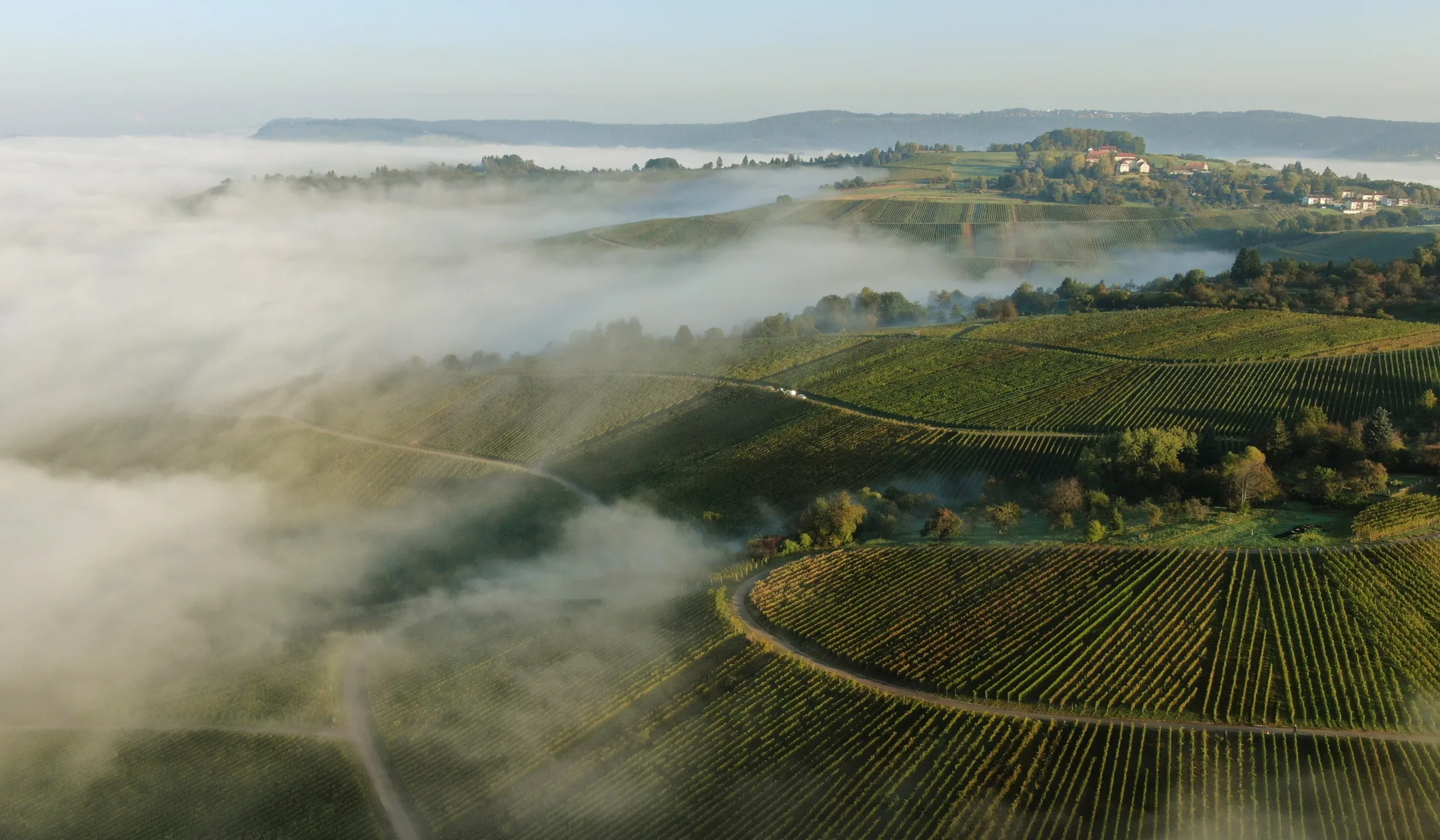 Aerial view of vineyard slopes above a fog-filled valley, with a village on the ridge beyond