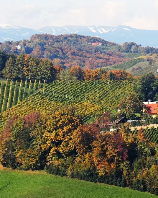 Weingut Sattlerhof &mdash; verified Wine producer