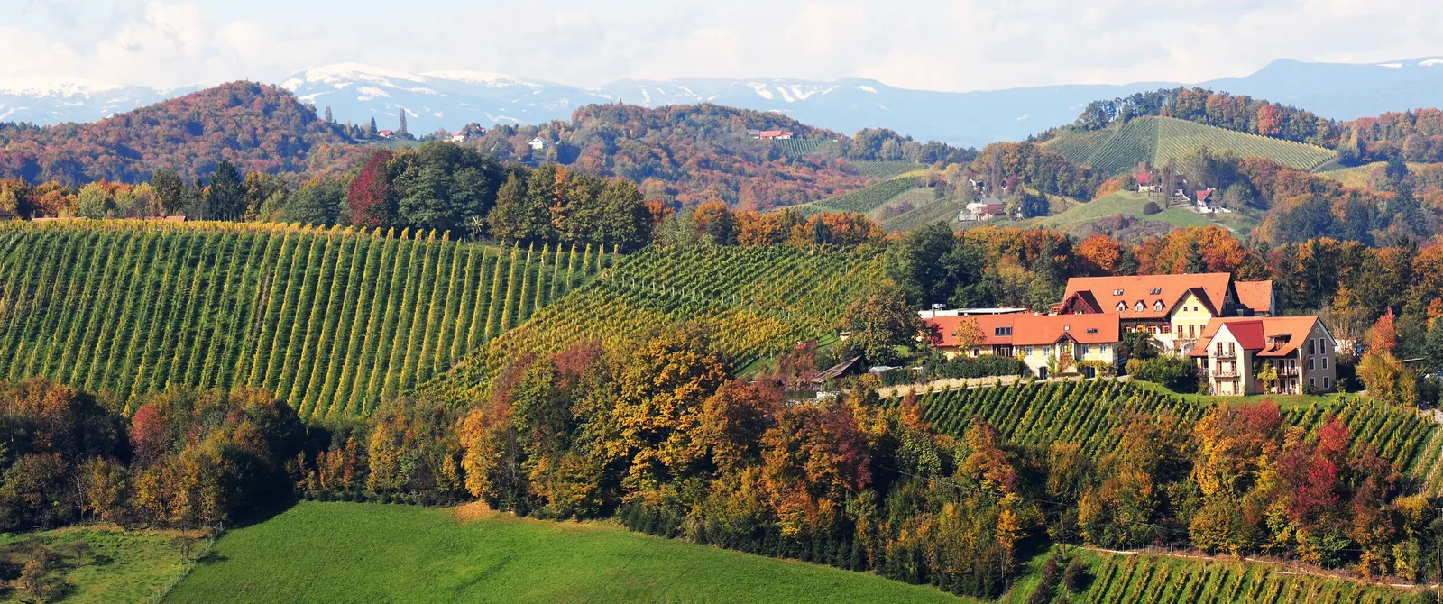 Weingut Sattlerhof