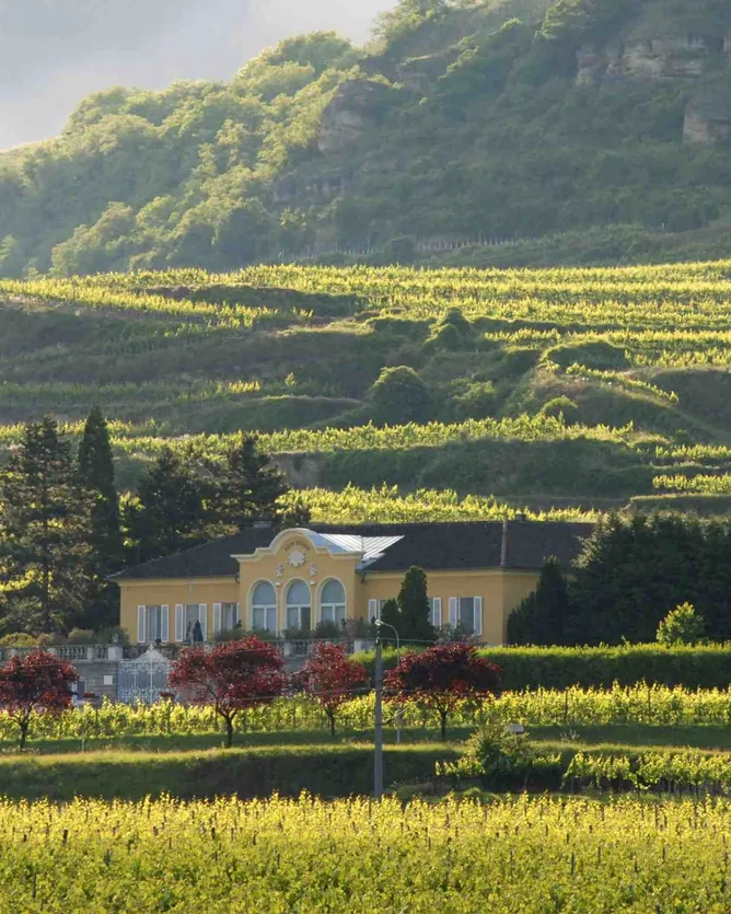 Weingut Sepp Moser &mdash; verified Wine producer