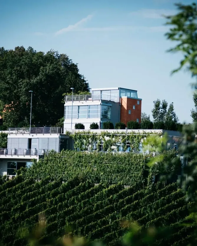 Weingut Tement &mdash; verified Wine producer