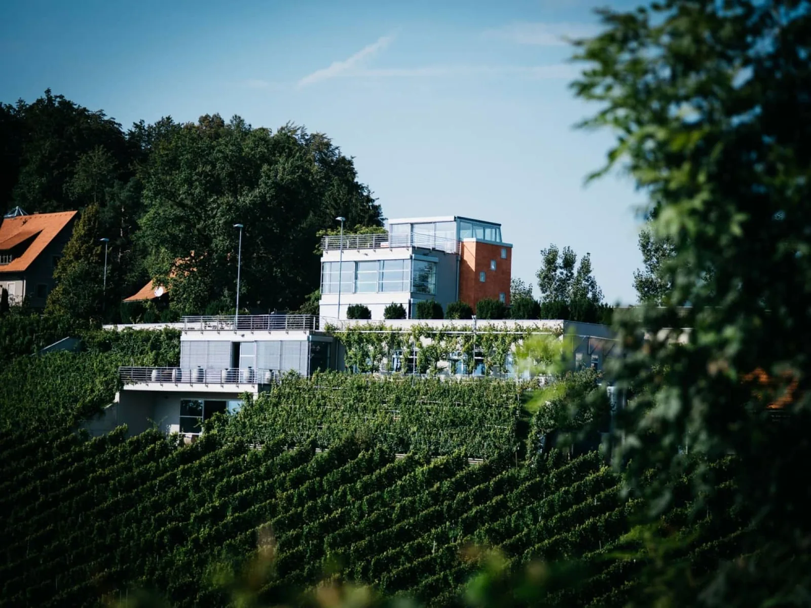 Weingut Tement