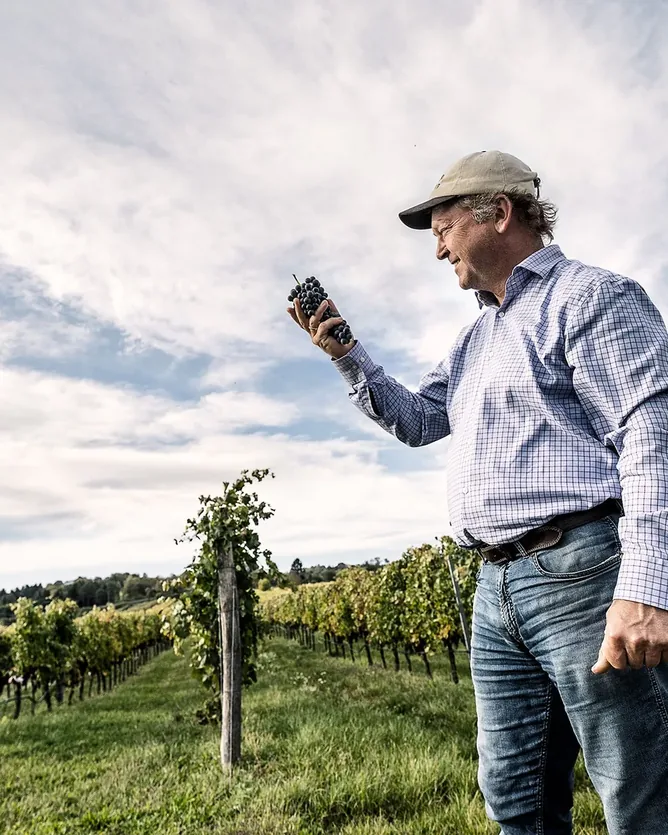Weingut Wieninger &mdash; verified Wine producer