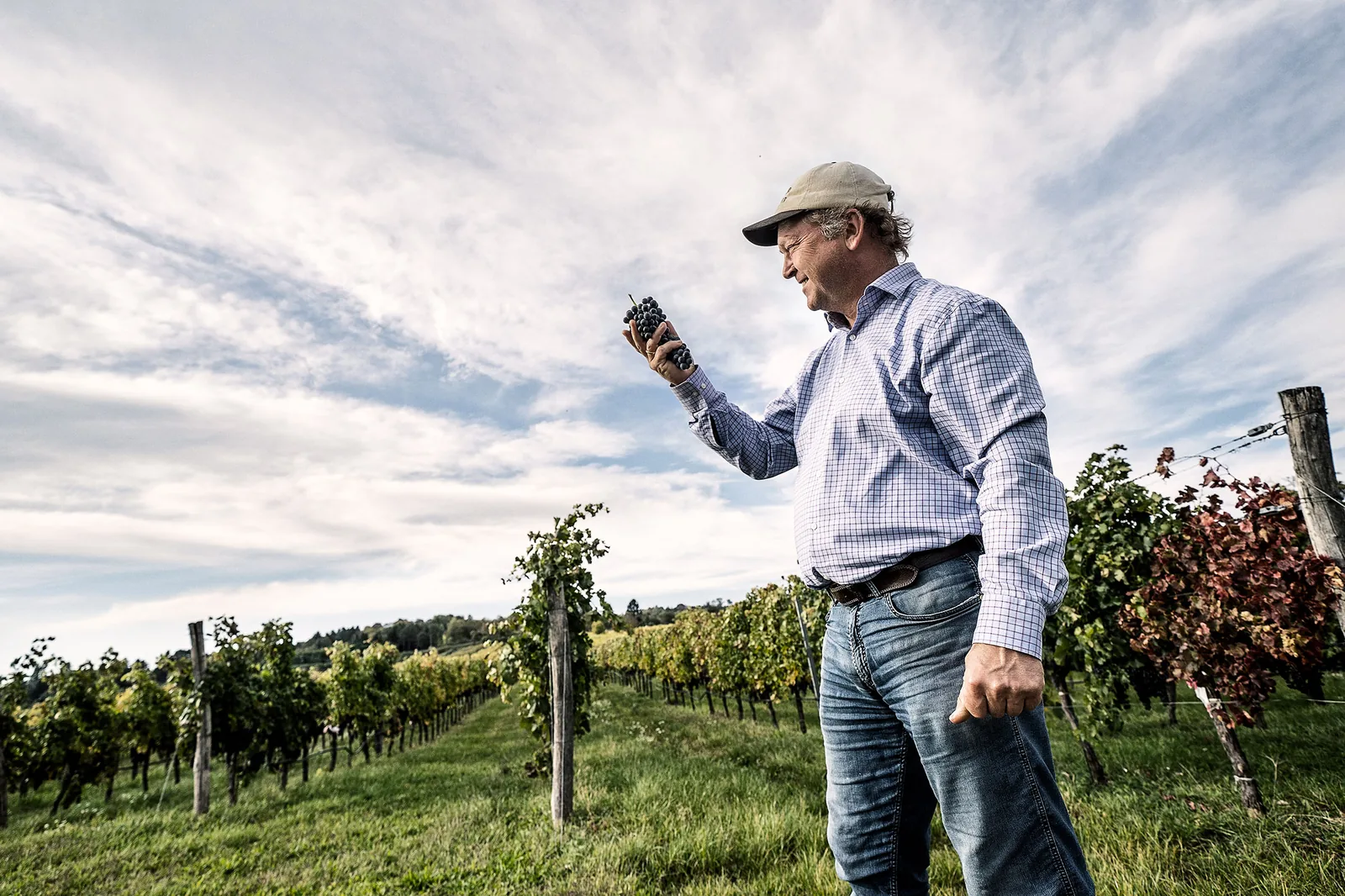 Weingut Wieninger