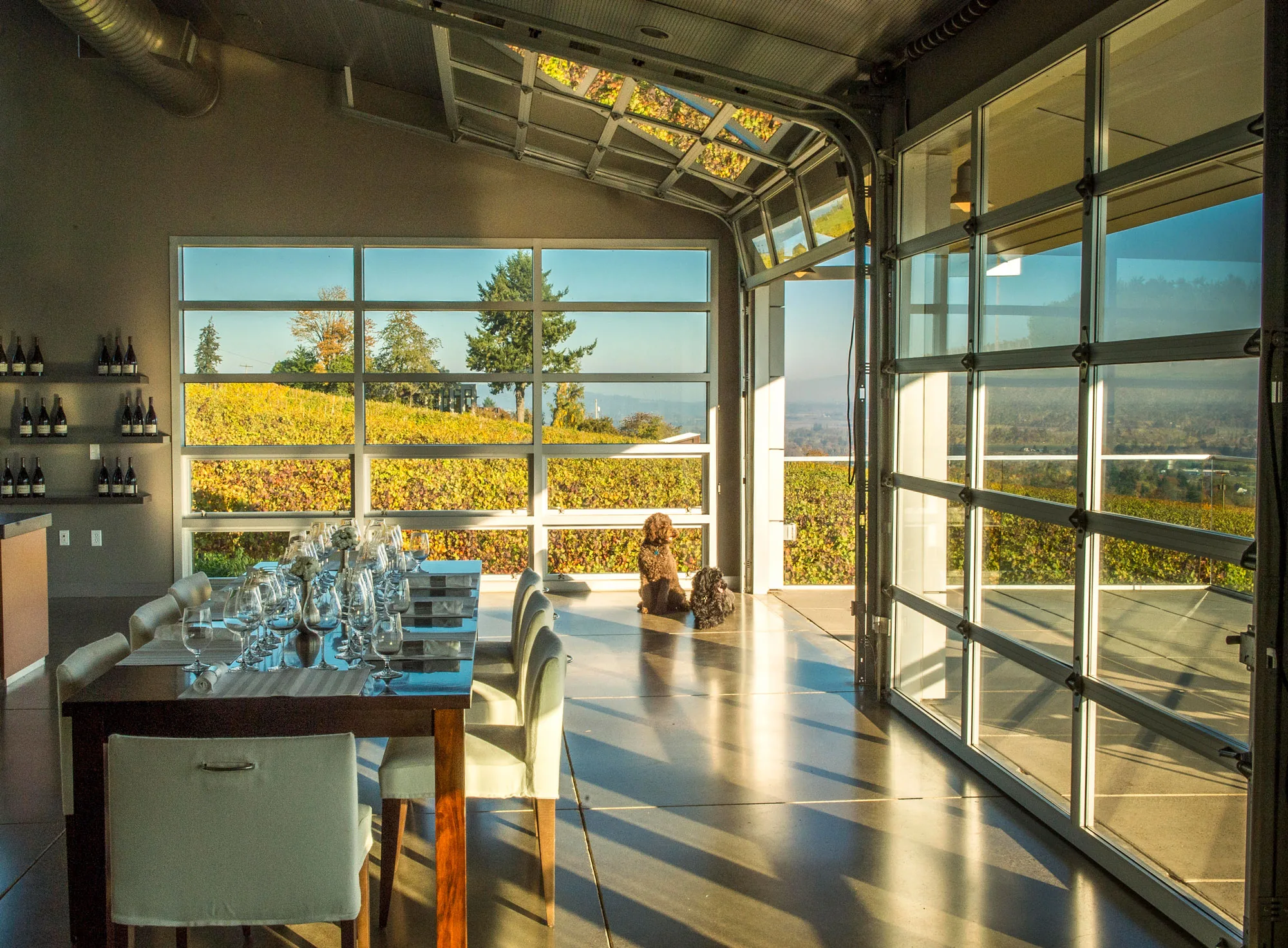 Long table set with rows of stemmed glasses beside open glass garage doors, autumn-coloured vines outside and two dogs on the floor