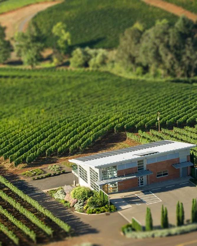 Winderlea Vineyard & Winery &mdash; verified Wine producer