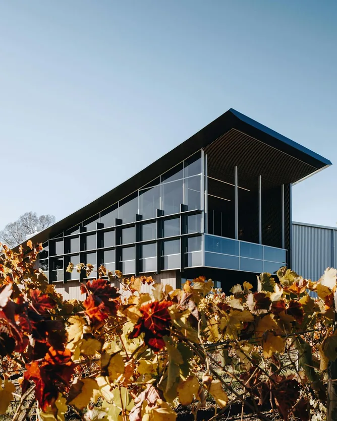 Yangarra Estate Vineyard