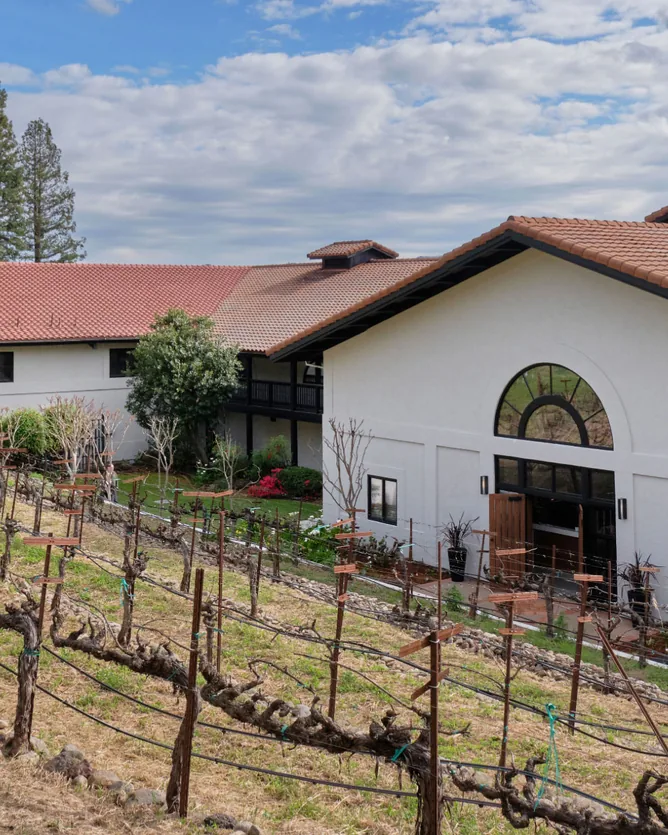 ZD Wines &mdash; verified Wine producer