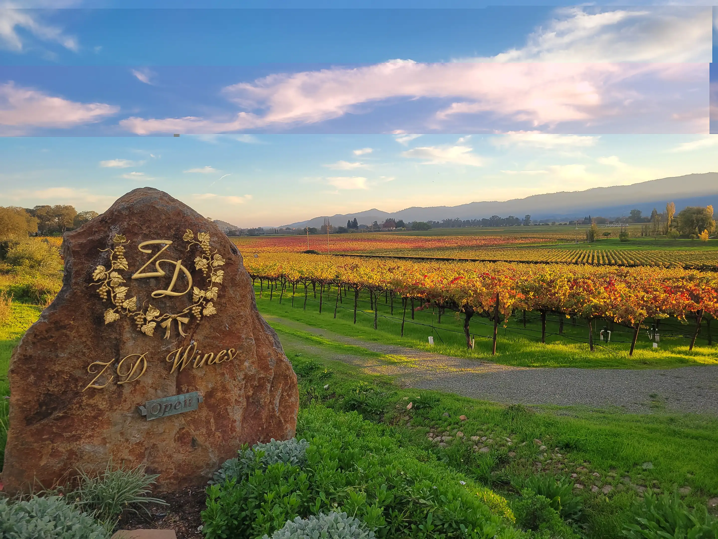 Engraved ZD Wines stone marker beside a gravel path, with vines in red and gold autumn colour and mountains beyond at dusk